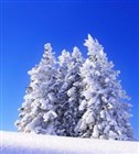 Devotional - Be Reconciled