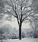 Devotional - Do Not Waste Time On Worrying