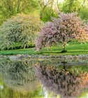 Devotional - Under Orders