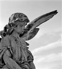 Devotional - Ministering Angels