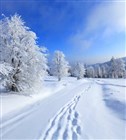 Devotional - God Is The Owner
