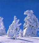 Devotional - God's Providence